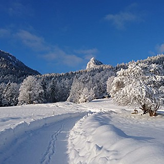 Skischule Leis Rottach-Egern und Kreuth